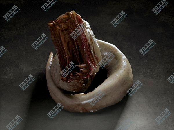 images/goods_img/20210312/Worm creature/2.jpg
